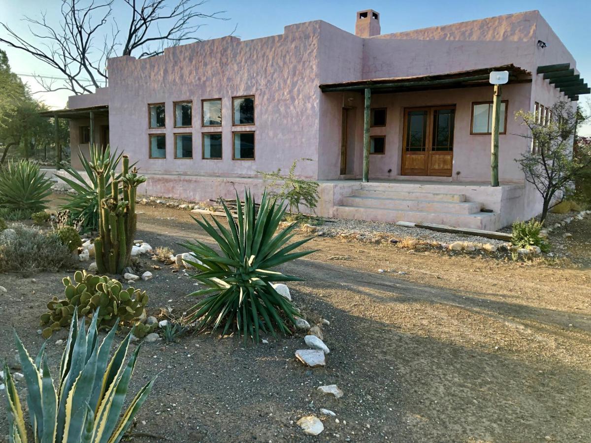Agave House Prince Albert