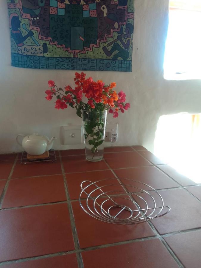 Agave House Prince Albert