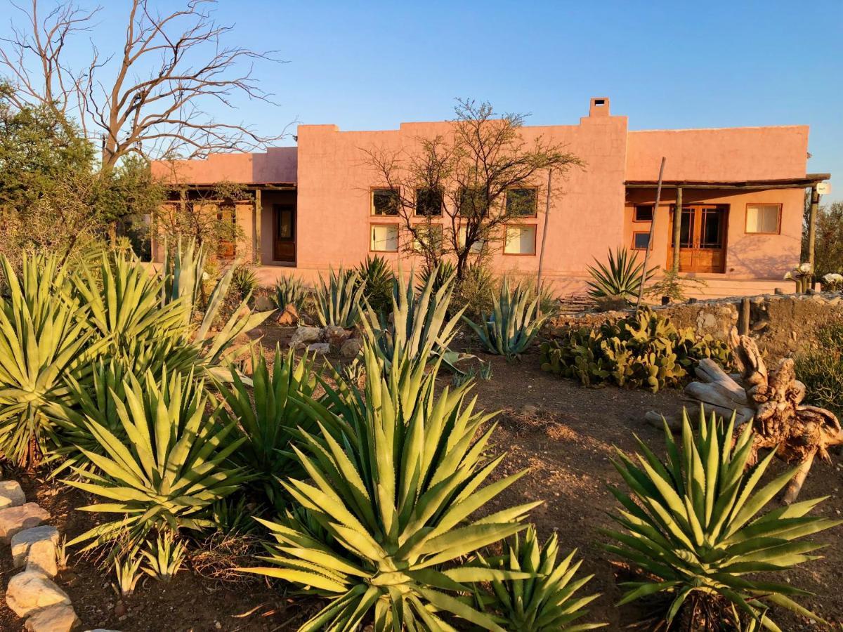Agave House Prince Albert
