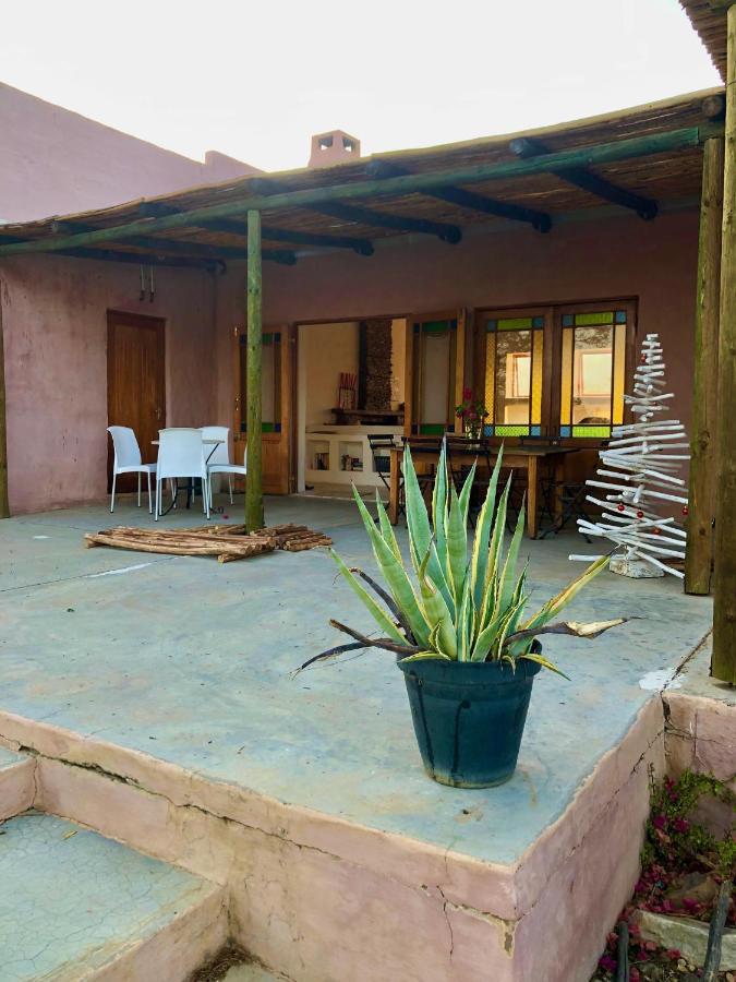 Agave House Prince Albert