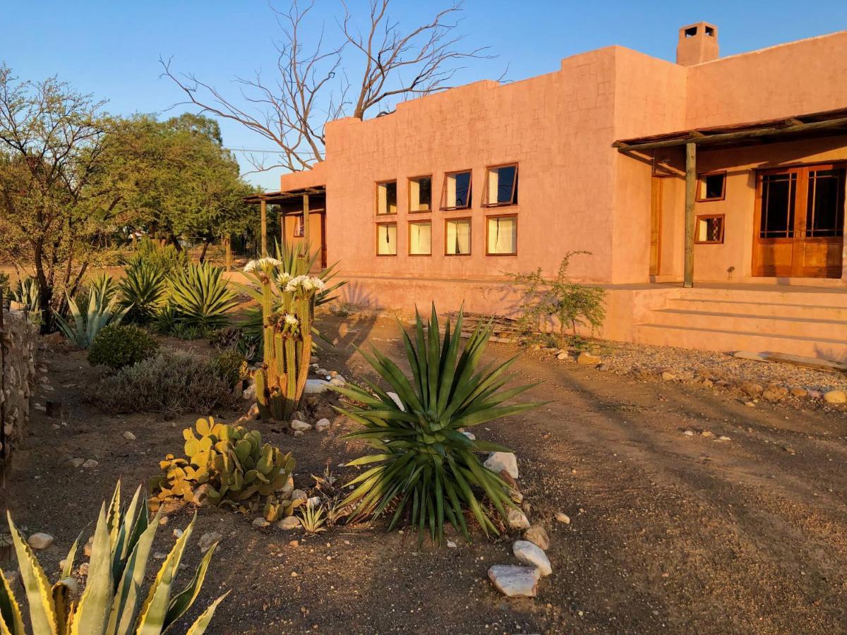 Agave House