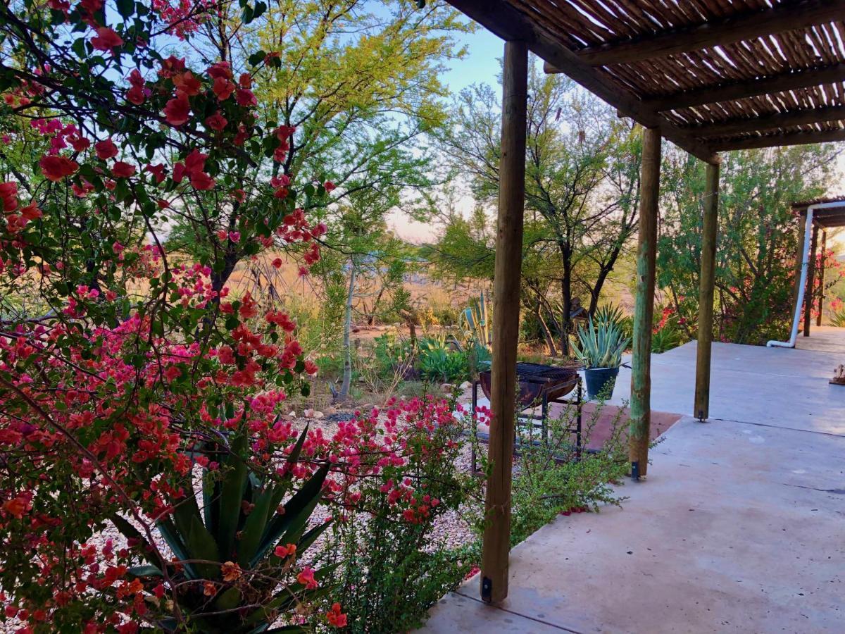 Agave House