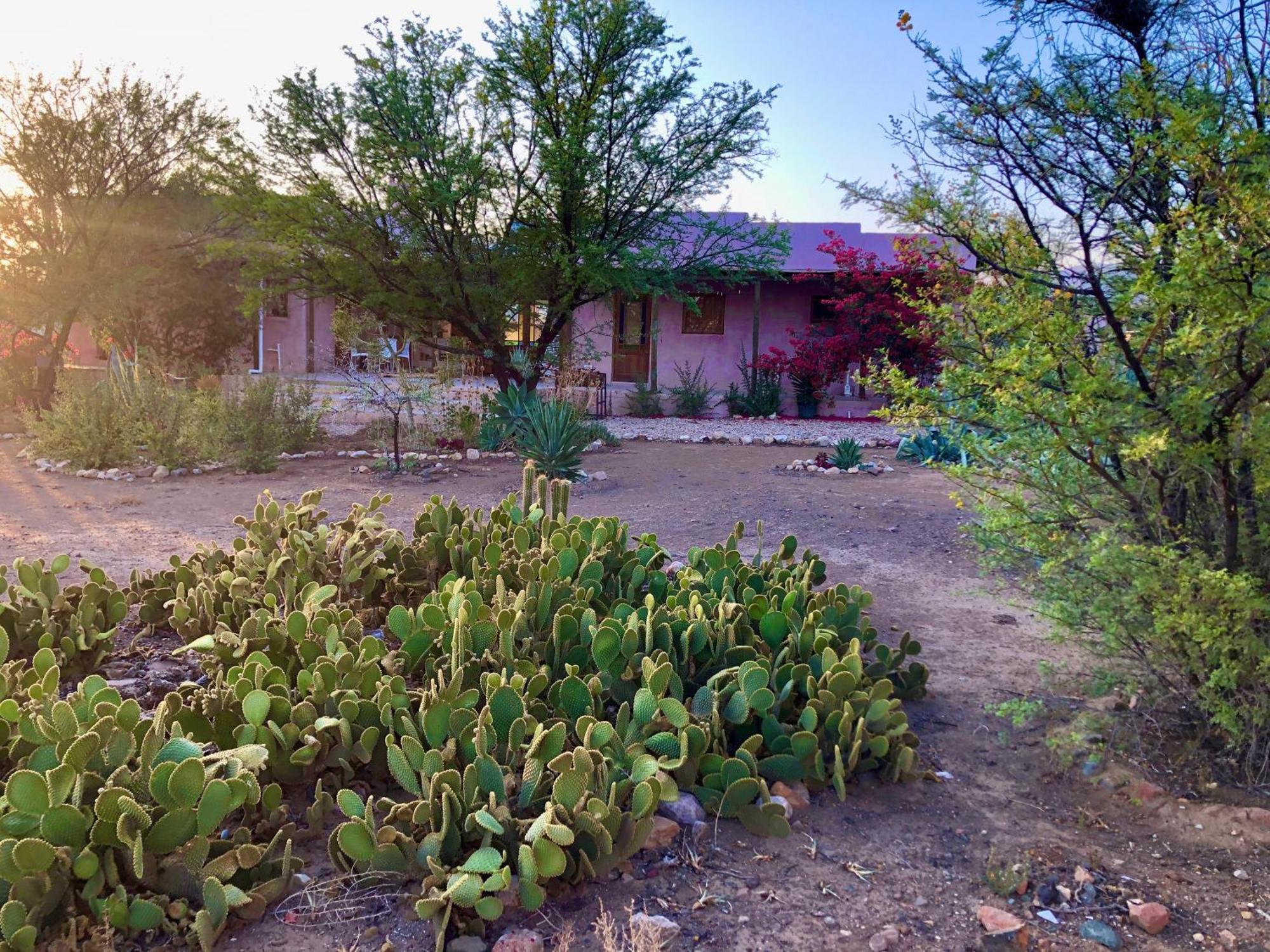 Agave House Prince Albert