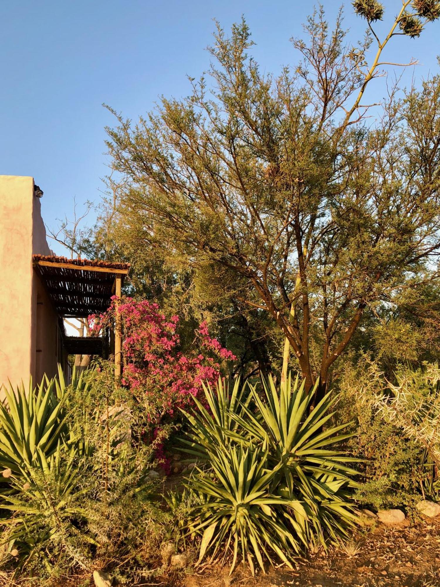 Agave House Country house Prince Albert